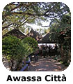 Awassa Citta